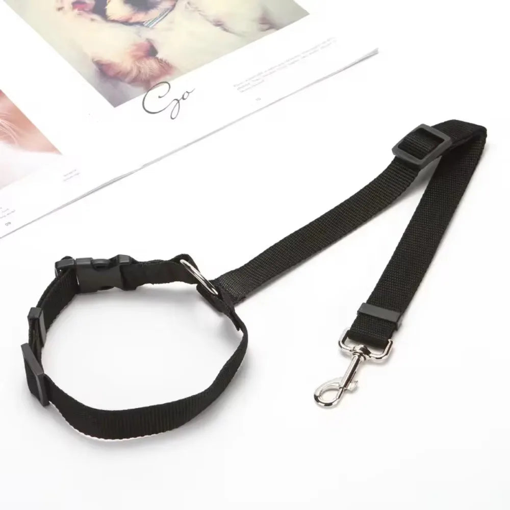 Ceinture de sécurité pour animaux en voiture