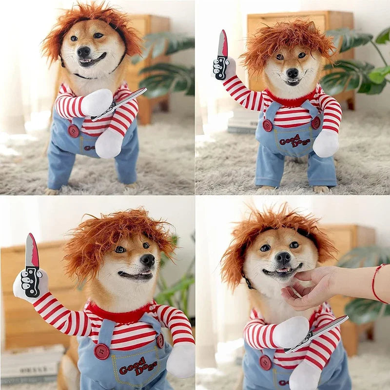 Costume cosplay chien-chats