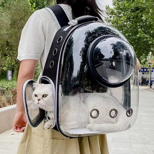 Sac de transport pour chat