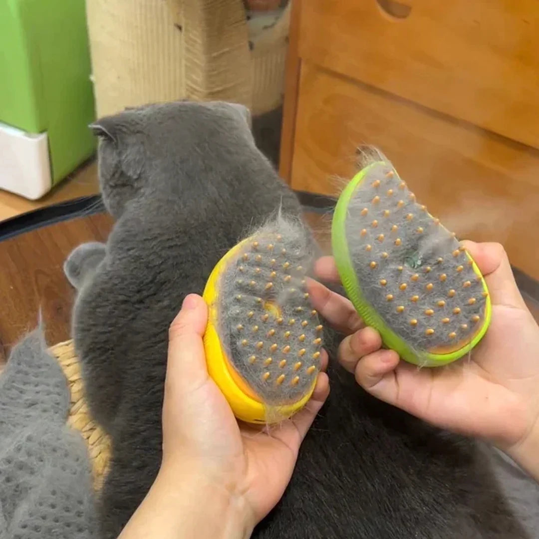 Steam brush for cats 