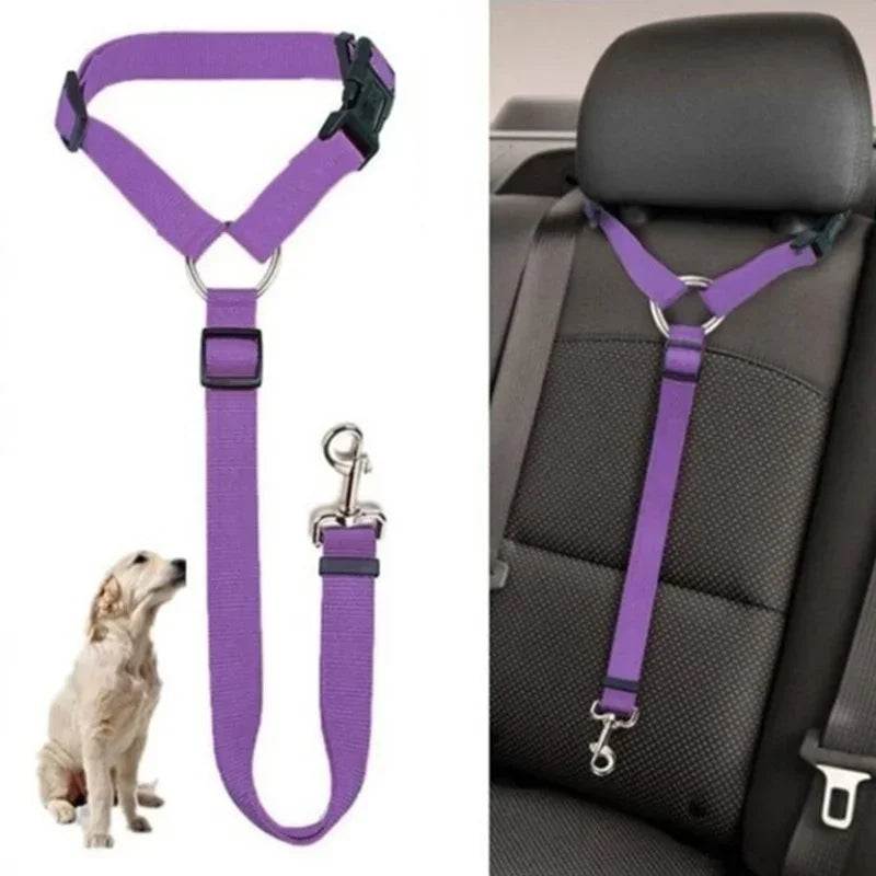 Ceinture de sécurité pour animaux en voiture